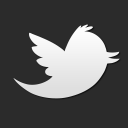twitter bird